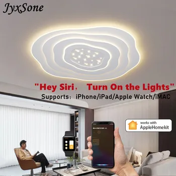 Šiuolaikinės HomeKit Smart LED Lubų Šviesos Kambario Dekoro Liustra Gyvenimo Kambario, Miegamasis su 